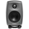 Настенные GENELEC 4030CX